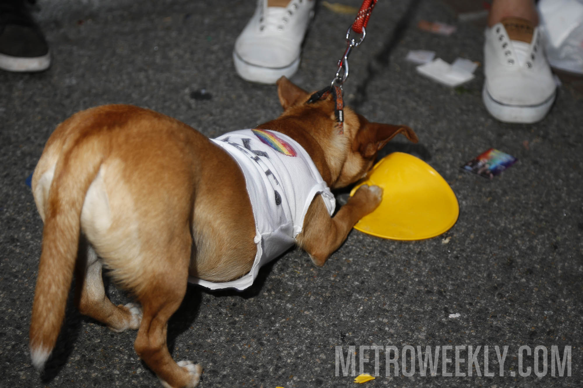 #186 of 876 : 2018-06-15_2526_142937.jpg