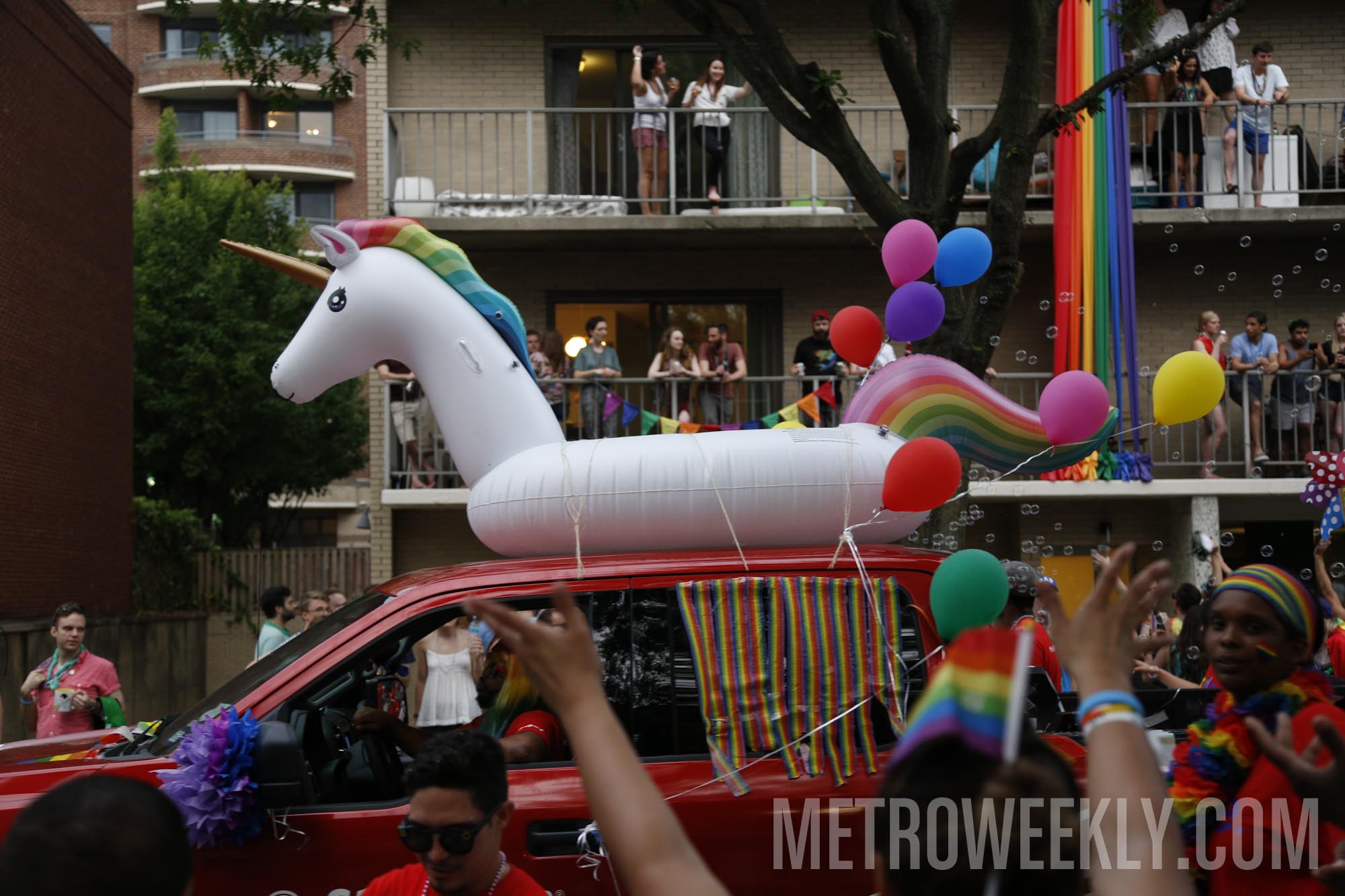 #196 of 876 : 2018-06-15_2526_142947.jpg