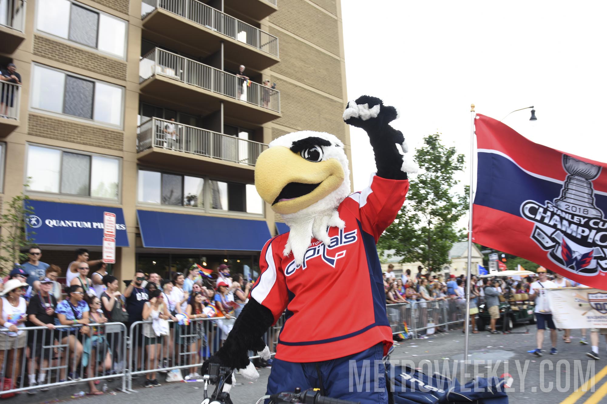 #223 of 876 : 2018-06-15_2526_142974.jpg