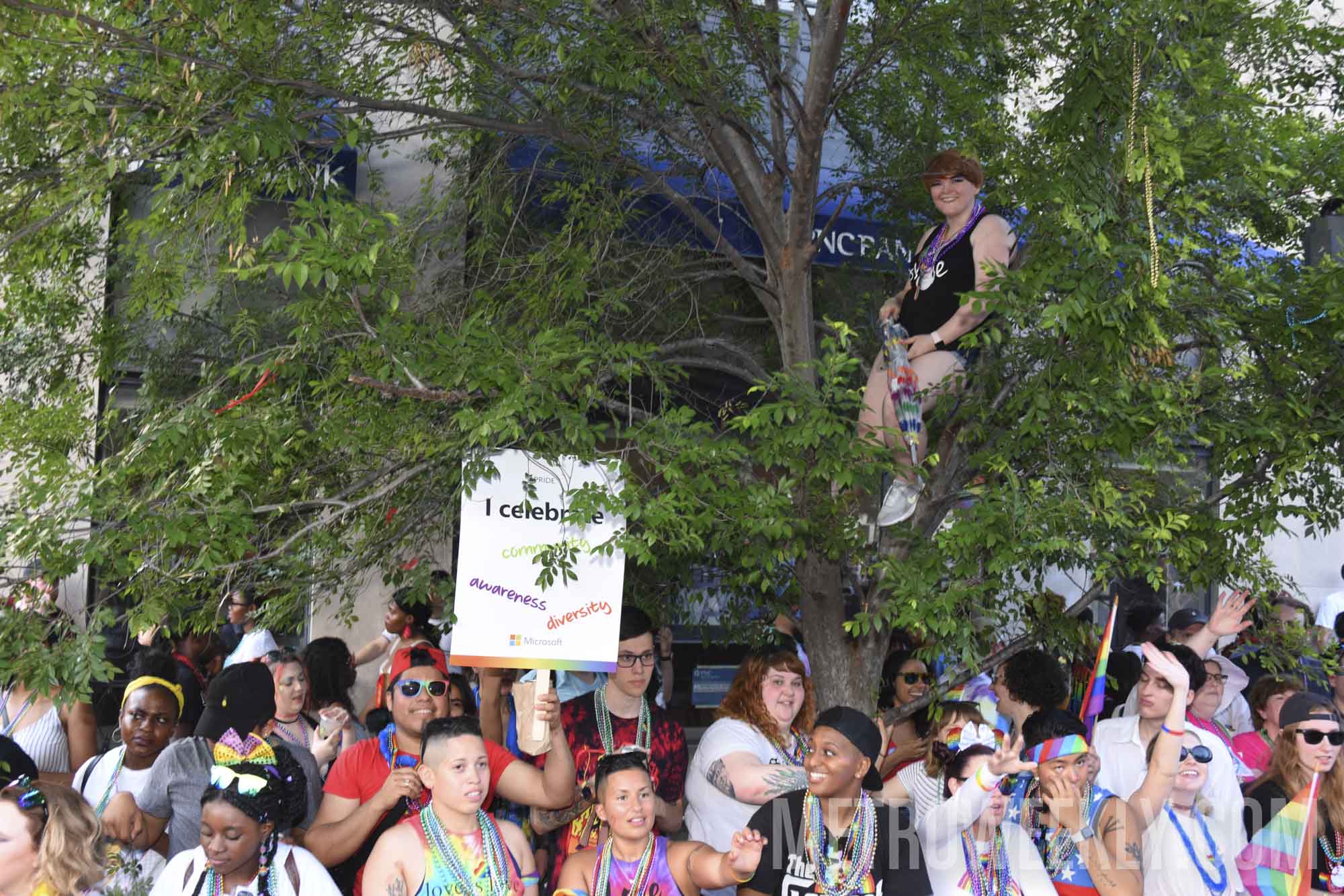 #273 of 876 : 2018-06-15_2526_143024.jpg