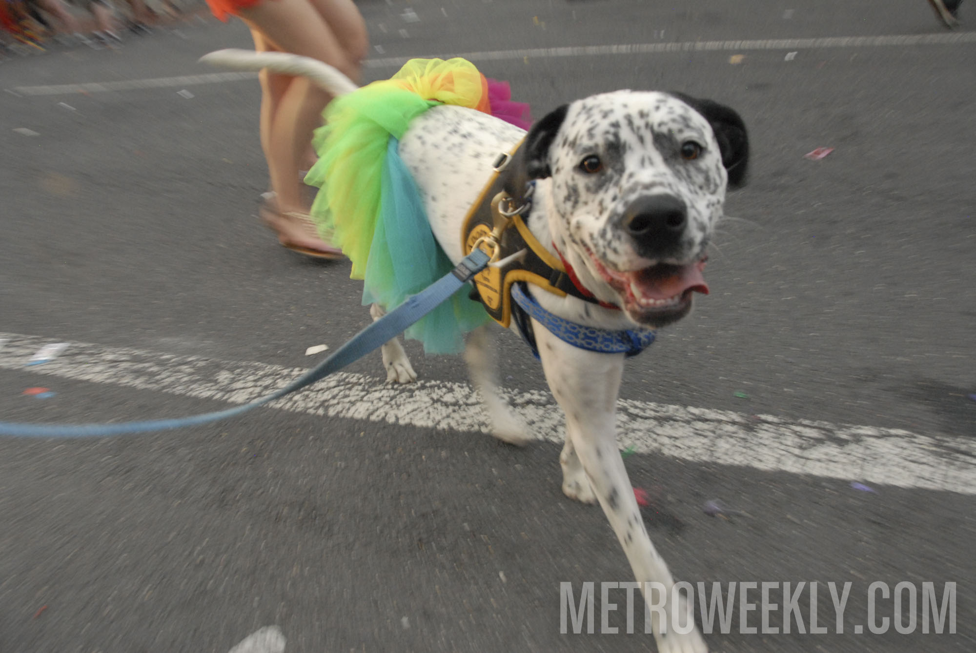 #422 of 876 : 2018-06-15_2526_143173.jpg