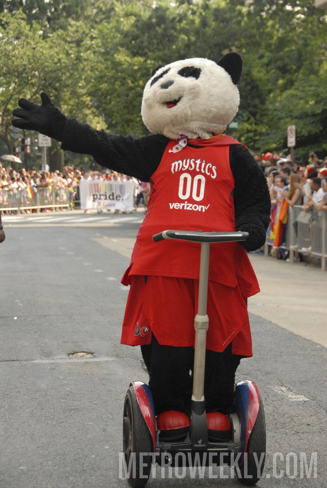 #521 of 876 : 2018-06-15_2526_143272.jpg