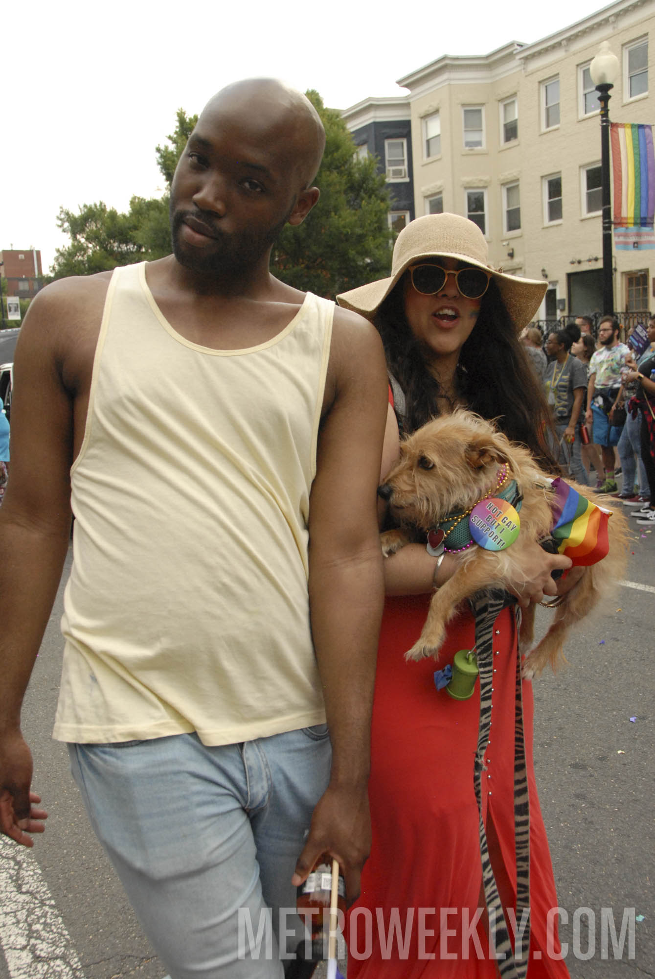 #677 of 876 : 2018-06-15_2526_143428.jpg