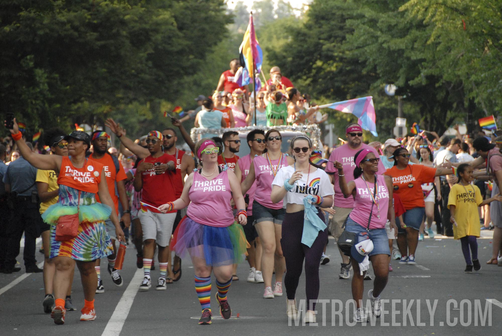 #775 of 876 : 2018-06-15_2526_143526.jpg