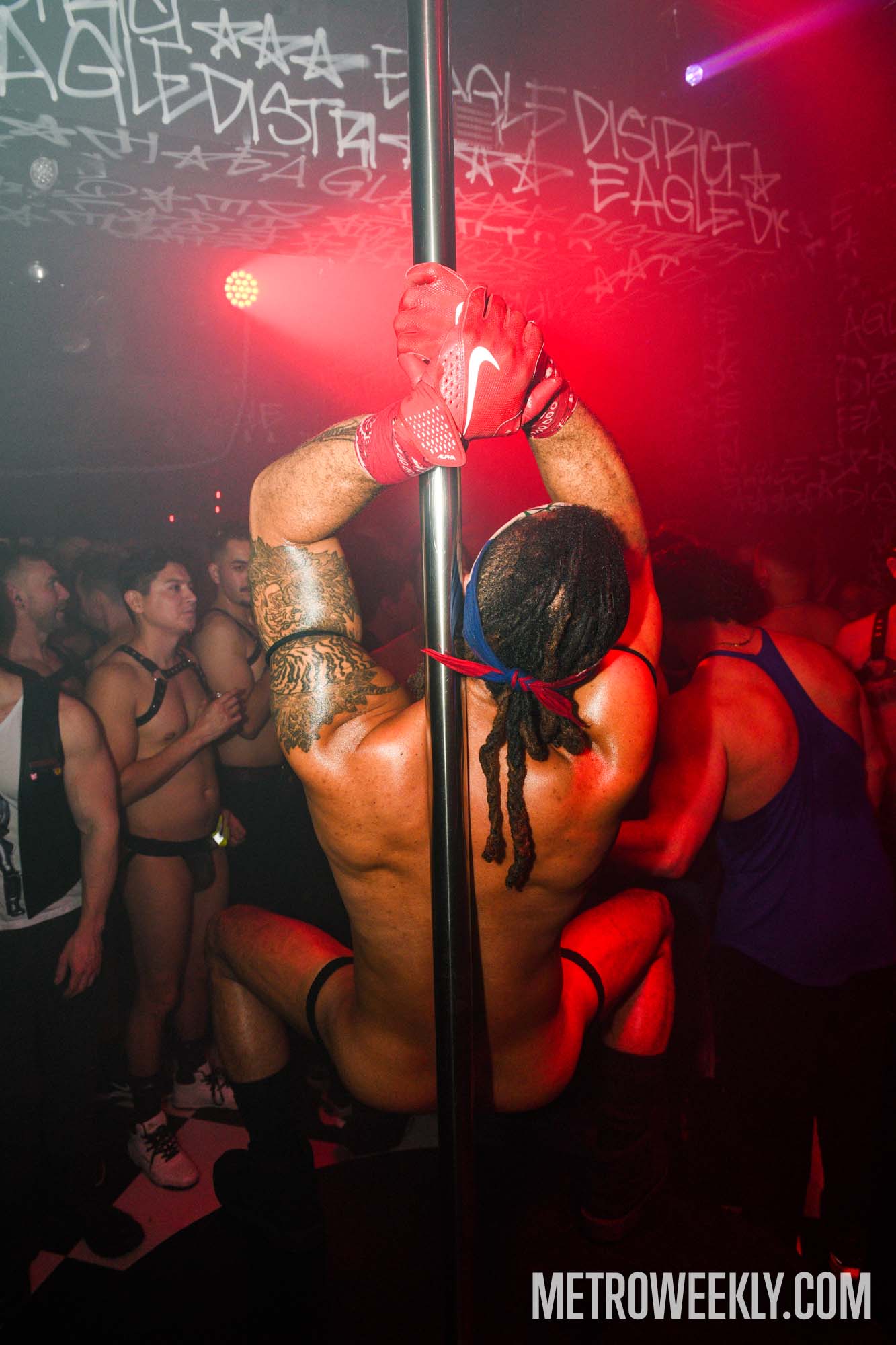 #6 of 81 : 2026-01-21_3025_179101.jpg