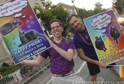 Capital Pride Parade 2018 #421