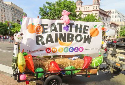 Capital Pride Parade 2024: Part 1 (Ward Morrison) #266